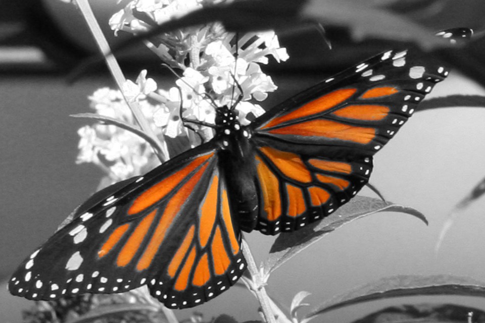 This was actually shot on Ashland Avenue in Chicago, IL.