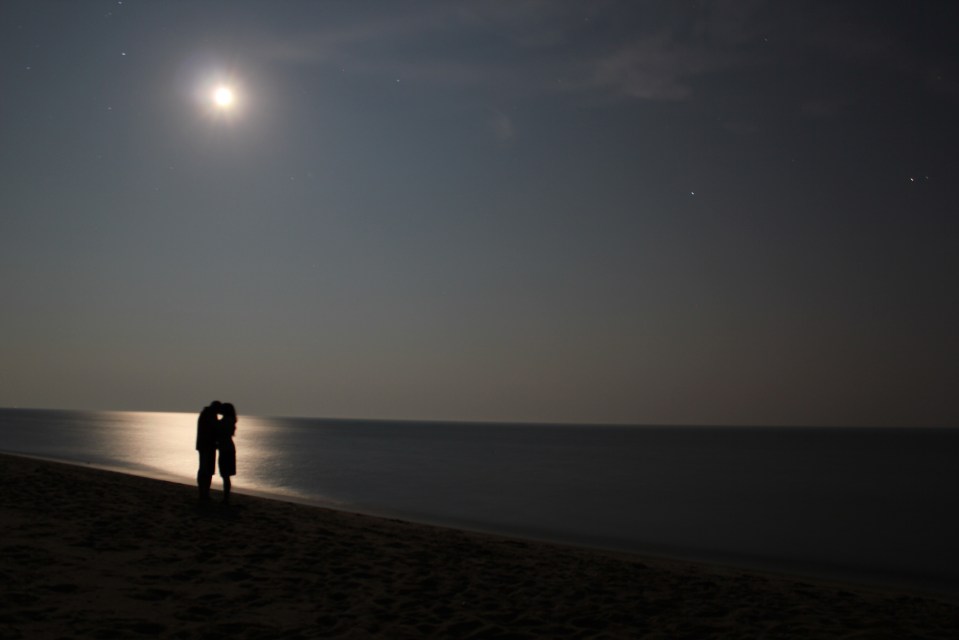 This is my favorite picture that I have ever taken.