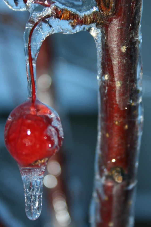 The art that nature creates is often more beautiful than anything man can create.